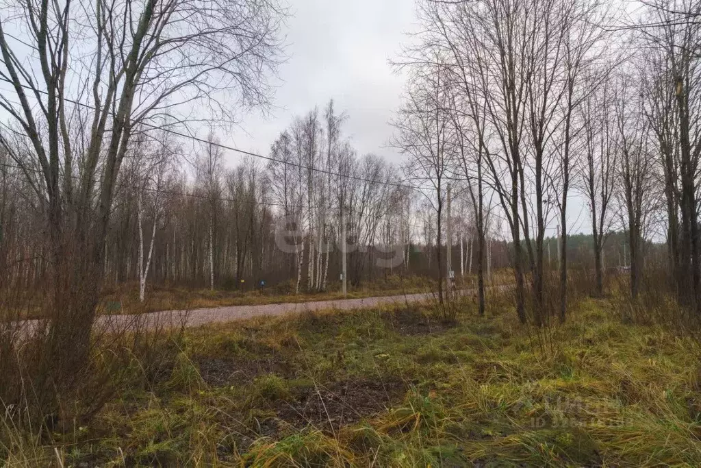 Участок в Ленинградская область, Выборгский район, Приморское ... - Фото 2