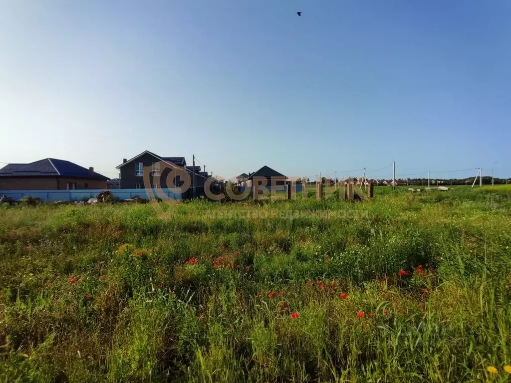 Участок в Краснодарский край, Краснодар Старокорсунская ст-ца,  (3.5 ... - Фото 1