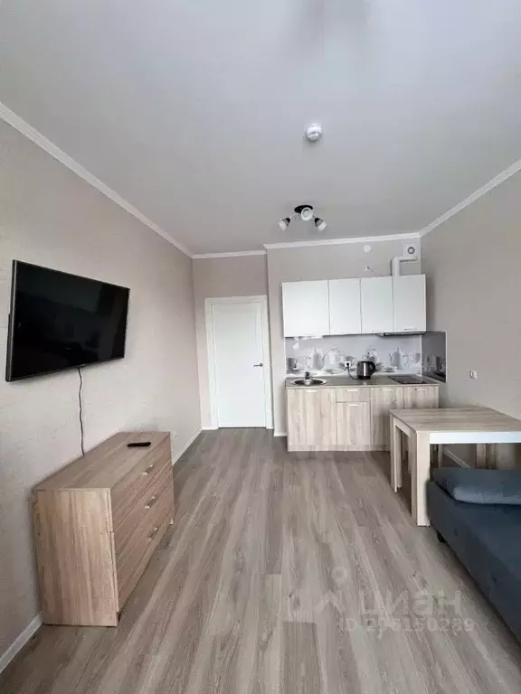 Студия Ленинградская область, Сертолово Всеволожский район, ... - Фото 1