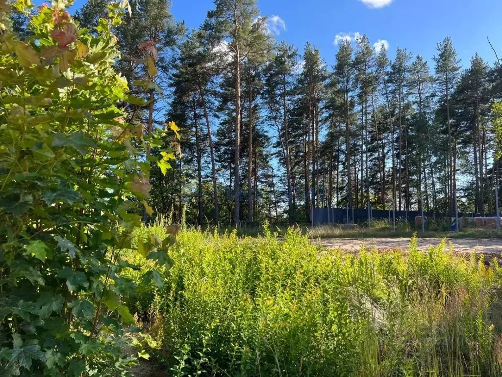 Участок в Нижегородская область, Володарский муниципальный округ, ... - Фото 1