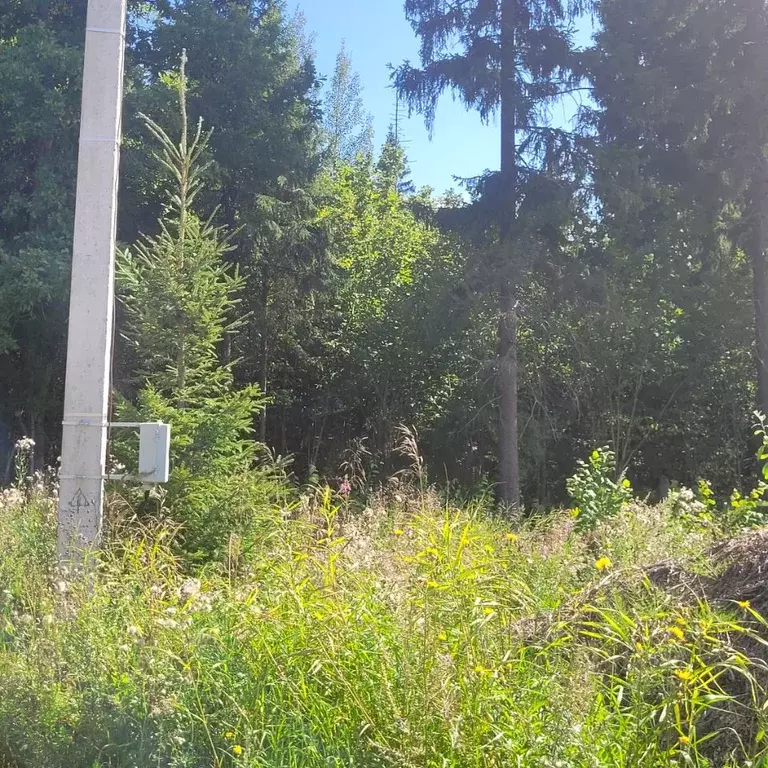 Участок в Московская область, Дмитровский муниципальный округ, д. ... - Фото 2