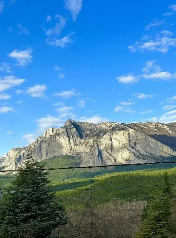 Дом в Крым, Ялта муниципальный округ, Гаспра пгт ул. Горького, 80 (122 ... - Фото 1