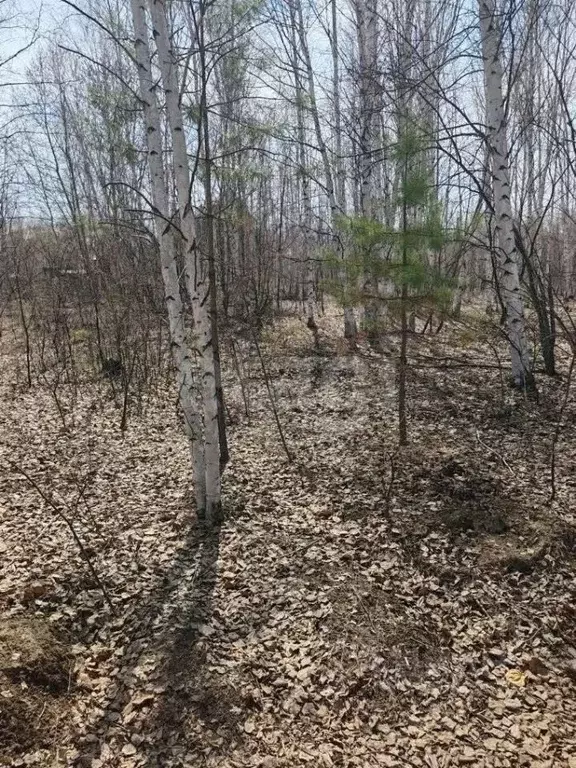 Участок в Амурская область, Благовещенск Игнатьевское ш., 7 (9.78 ... - Фото 1