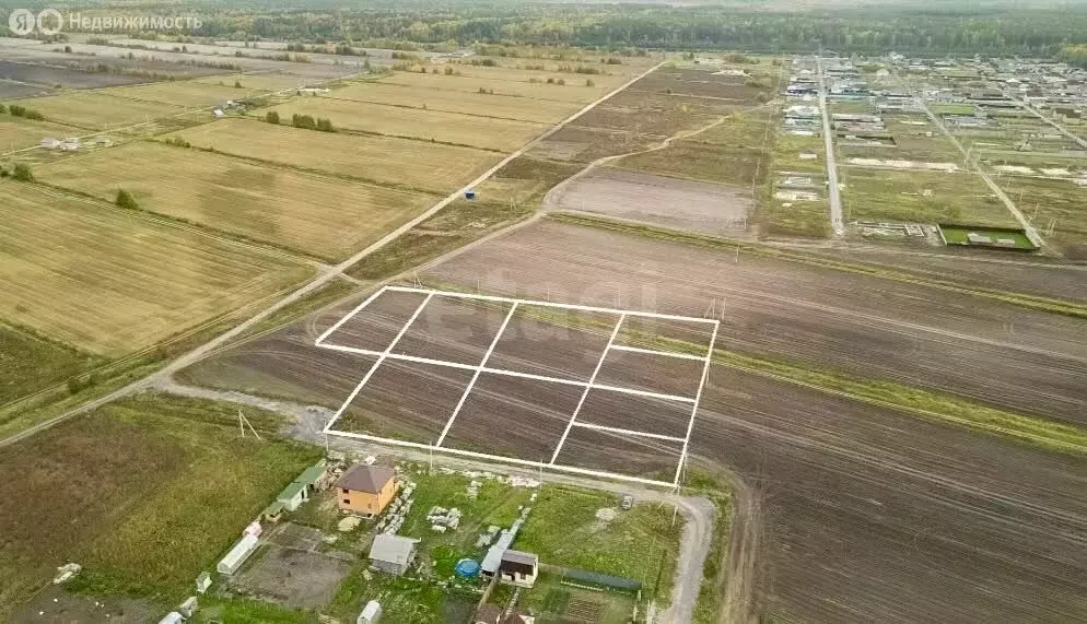 Участок в Тюменский муниципальный округ, ДНТ Воскресенье-1, Светлая ... - Фото 2