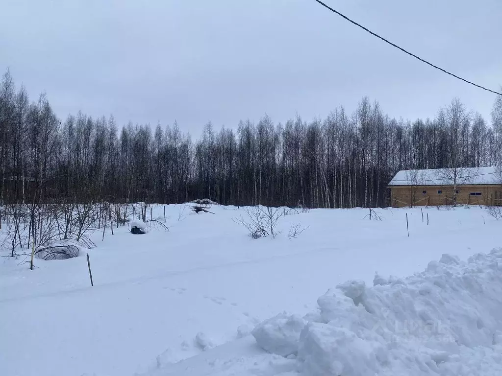 Участок в Ярославская область, Переславль-Залесский городской округ, ... - Фото 0