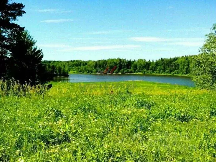 Участок в Тыва, Пий-Хемский кожуун, с. Сесерлиг  (6.0 сот.) - Фото 0