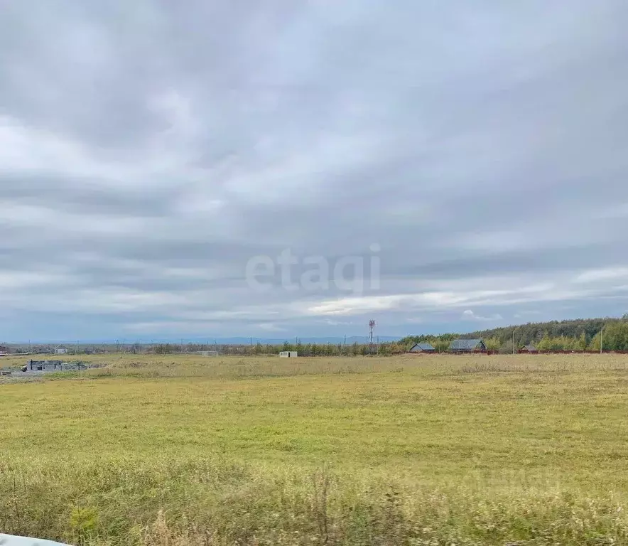 Участок в Сахалинская область, Анивский городской округ, с. Мицулевка  ... - Фото 1