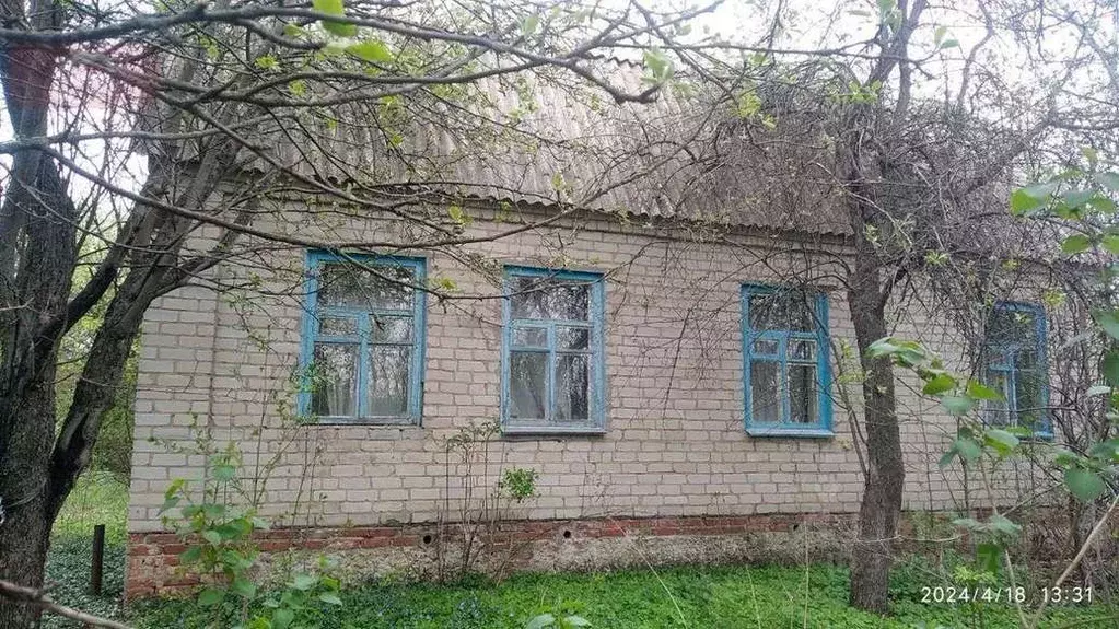 Дом в Воронежская область, Новоусманский район, Орловское с/пос, с. ... - Фото 2