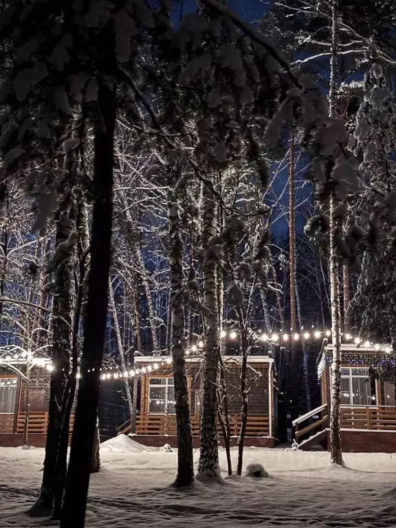 Дом в Нижегородская область, Нижний Новгород д. Студенец,  (50 м) - Фото 1