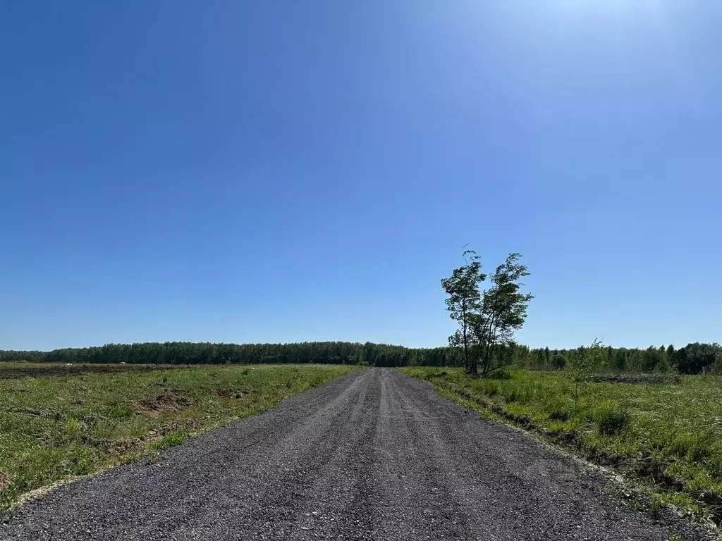 Участок в Московская область, Чехов муниципальный округ, д. Якшино  ... - Фото 2