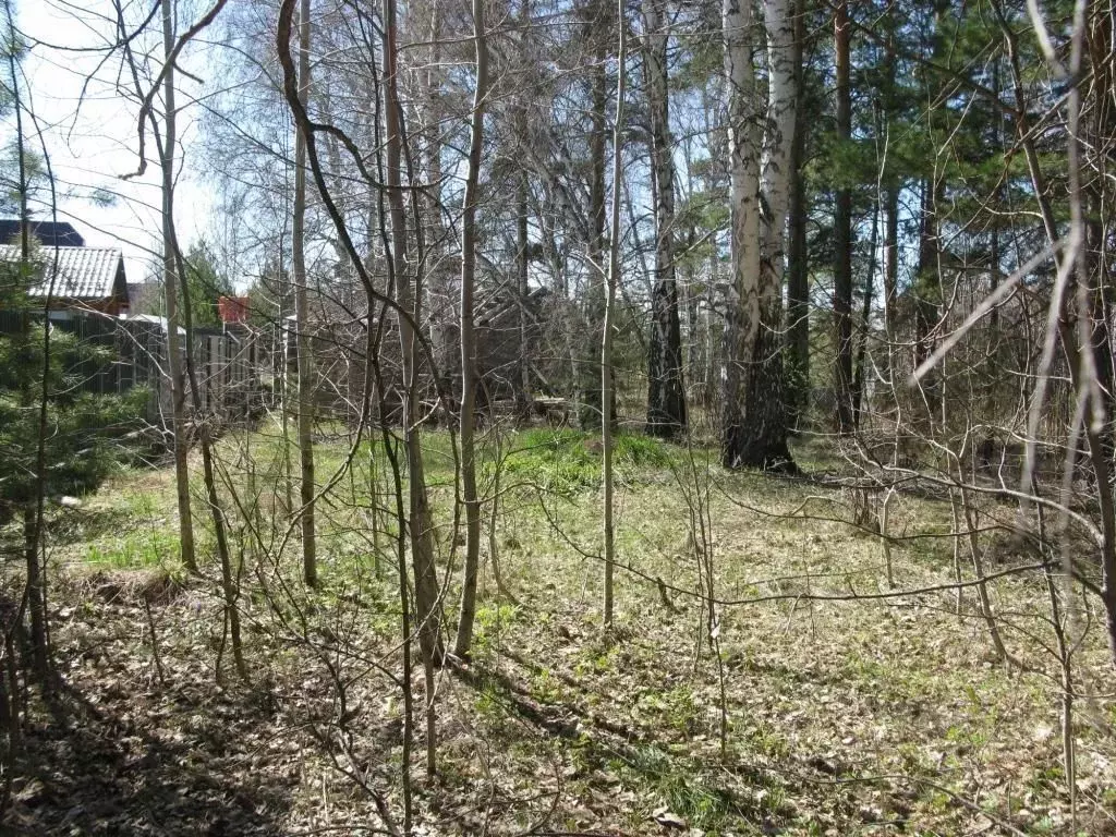 Участок в Свердловская область, Екатеринбург Екатерининское ДНП, 4/29 ... - Фото 2