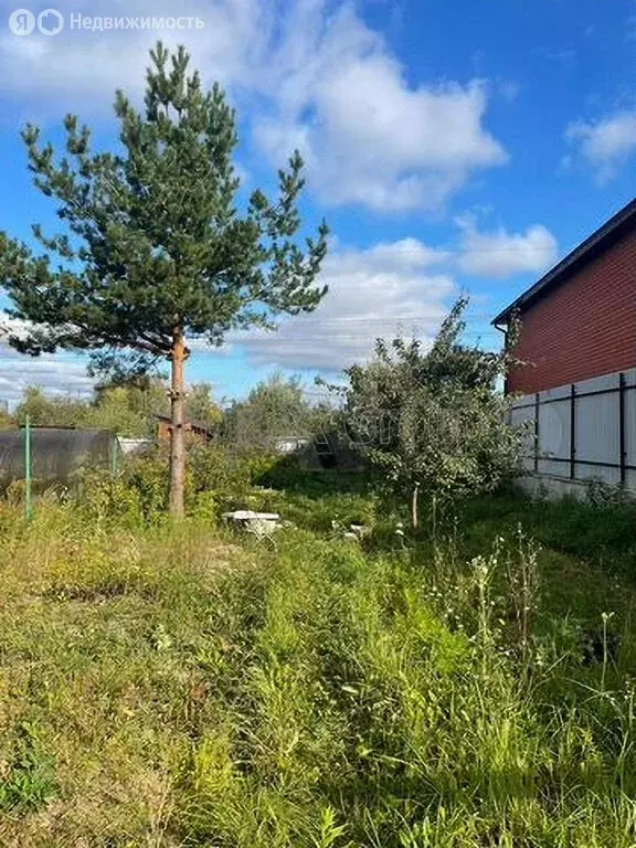 Участок в Ивантеевка, СНТСН Союз (5.6 м) - Фото 1