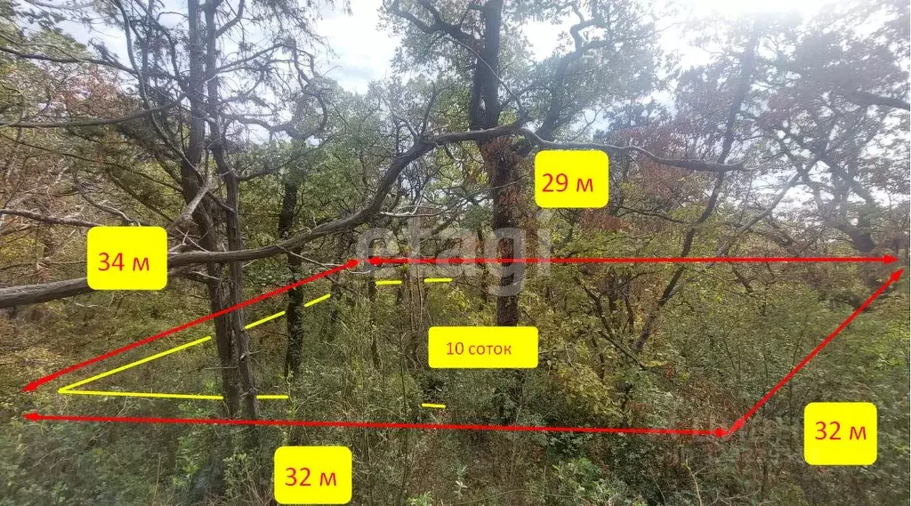 Участок в Крым, Ялта  (10.0 сот.) - Фото 1