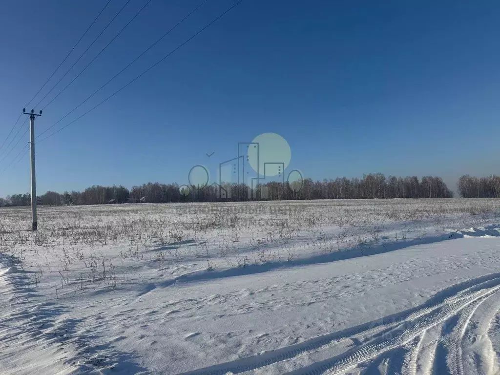 Участок в Иркутская область, Иркутский муниципальный округ, д. ... - Фото 2