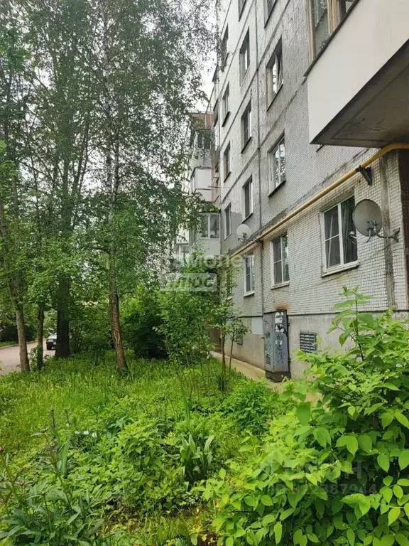 Комната Ленинградская область, Тосно г. Тосненский район, Тосненское ... - Фото 1