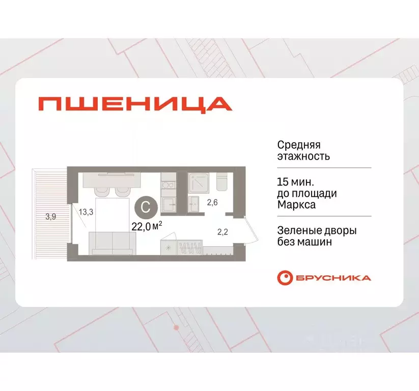 Студия Новосибирская область, Новосибирский район, Краснообск рп ... - Фото 0