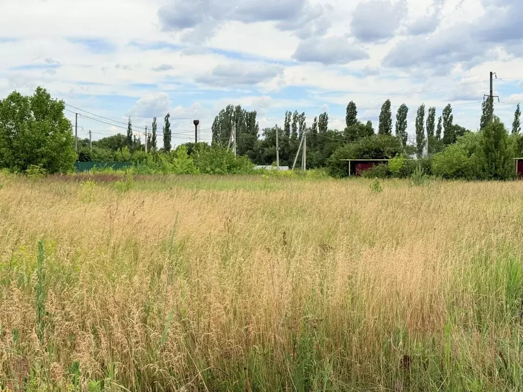 Участок в Воронежская область, Новоусманский район, Усманское 1-е ... - Фото 2