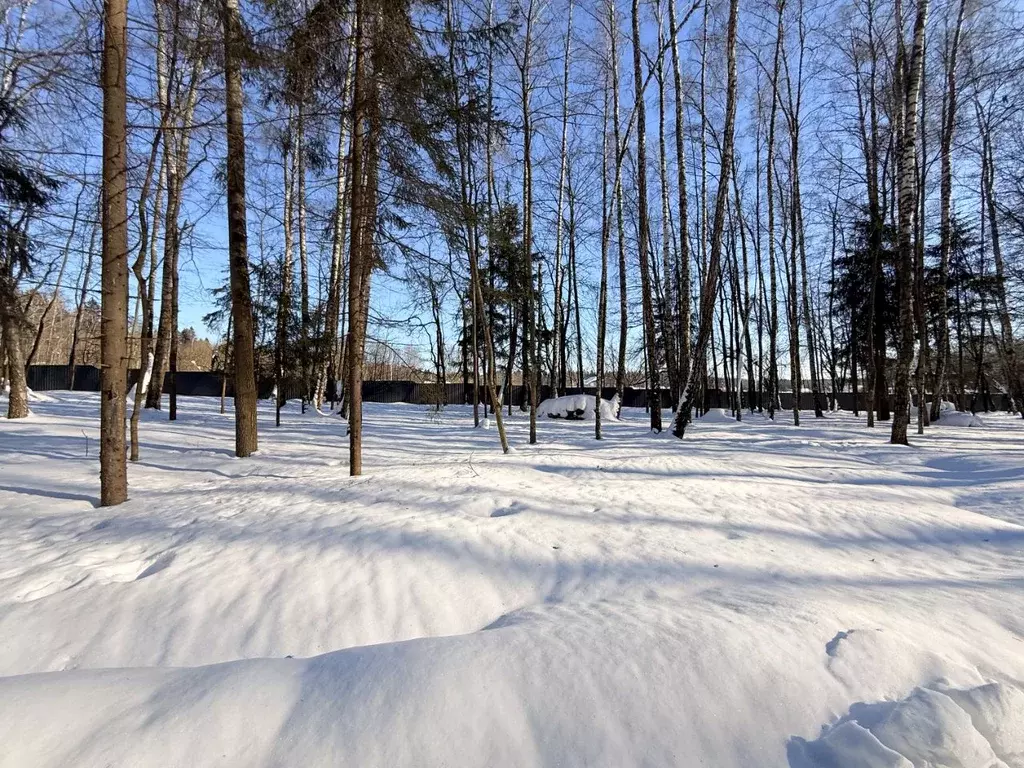 Участок в Московская область, Рузский муниципальный округ, д. ... - Фото 2