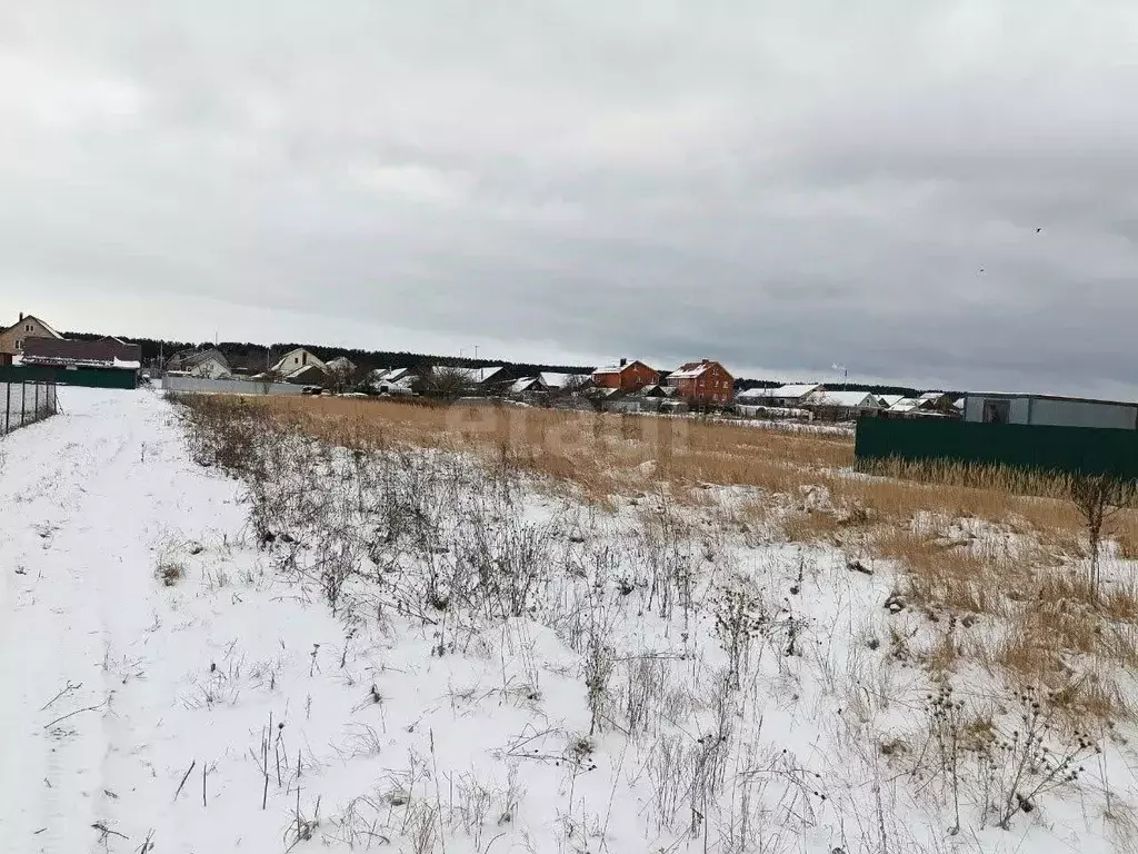 Участок в Московская область, Коломна городской округ, с. Пирочи ул. ... - Фото 0