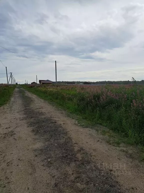 Участок в Тюменская область, Тюменский район, с. Каменка  (13.0 сот.) - Фото 0