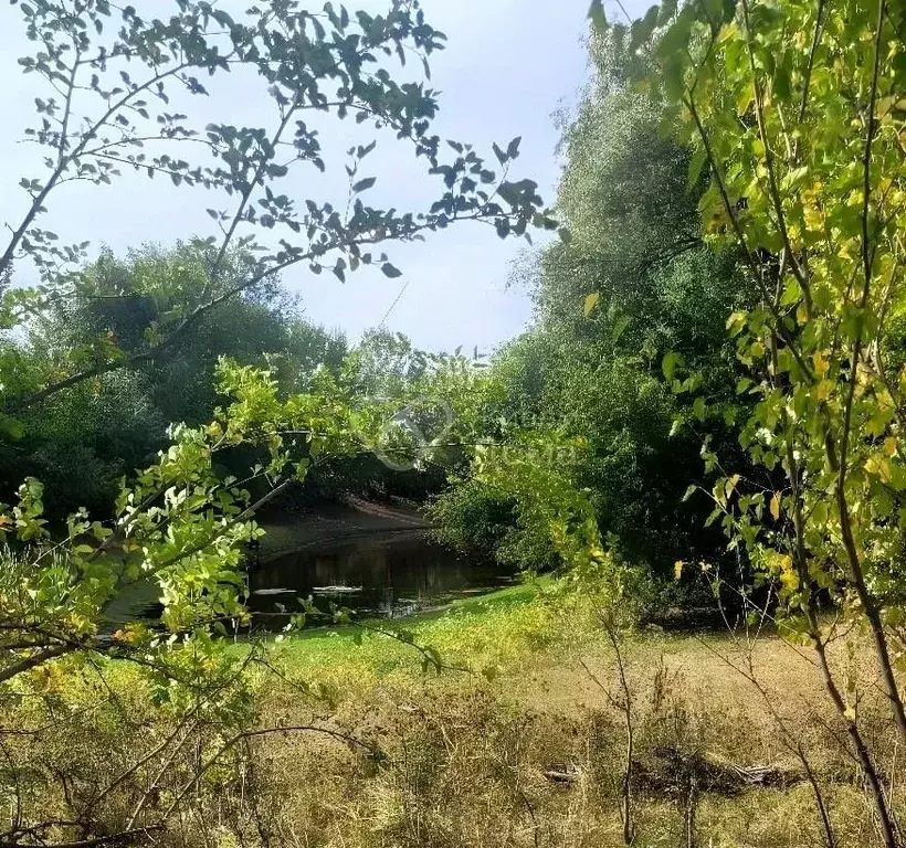 Участок в Волгоградская область, Среднеахтубинский район, Куйбышевское ... - Фото 1