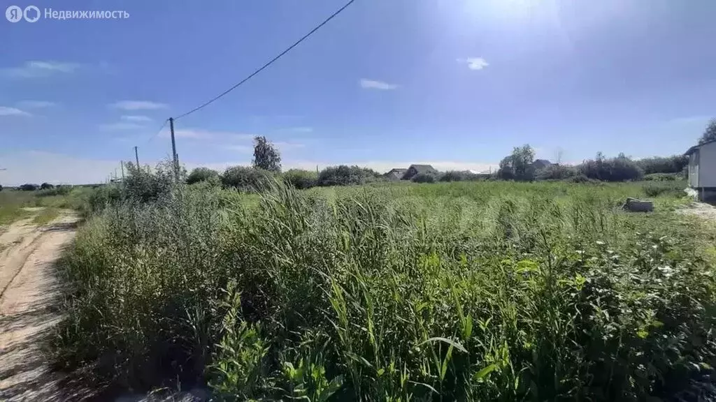 Участок в Тюменский муниципальный округ, село Червишево (15 м) - Фото 1