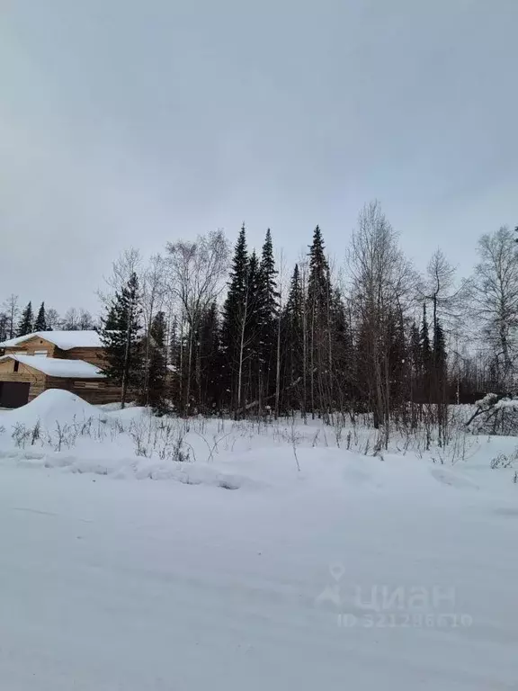 Участок в Иркутская область, Усть-Илимск ул. Ровесников (15.0 сот.) - Фото 1