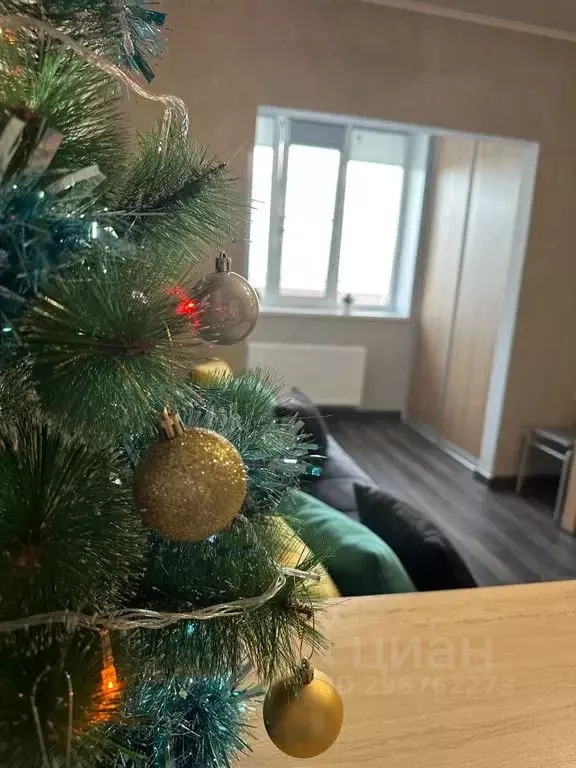 Студия Башкортостан, Абзелиловский район, Ташбулатовский сельсовет, д. ... - Фото 1