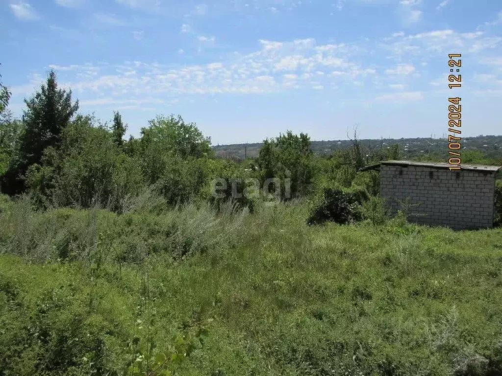 Участок в Волгоградская область, Волгоград Мичуринец СНТ, 74 (15.0 ... - Фото 1
