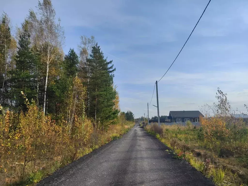 Участок в Московская область, Электроугли Богородский городской округ, ... - Фото 1