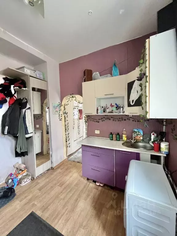 Студия Пермский край, Пермь ул. Куйбышева, 57 (27.0 м) - Фото 1