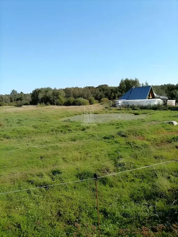 Участок в Ленинградская область, Волосовский район, Клопицкое с/пос, ... - Фото 1