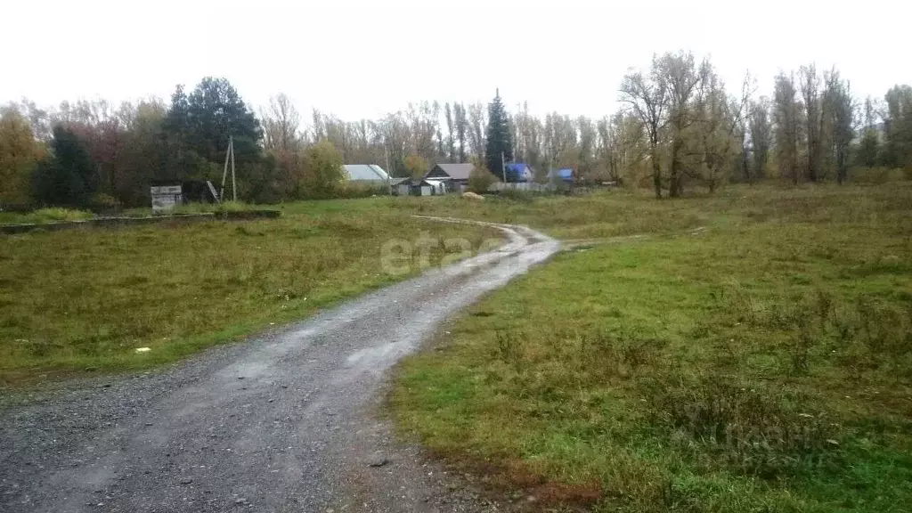 Участок в Кировская область, Свечинский муниципальный округ ул. ... - Фото 0