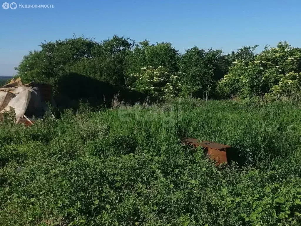 Участок в Лопатки, Первомайская улица (15 м) - Фото 2