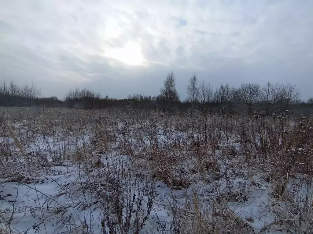 Участок в Московская область, Коломна городской округ, с. Нижнее ... - Фото 0