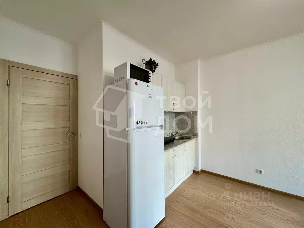 Студия Санкт-Петербург просп. Ветеранов, 169к3 (23.4 м) - Фото 1