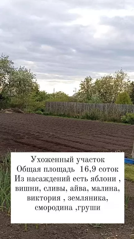 Дом в Свердловская область, Туринск ул. Свердлова, 64 (140 м) - Фото 2