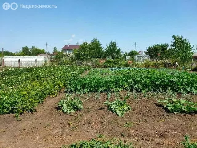 Участок в село Русская Борковка, Северная улица (15 м) - Фото 0