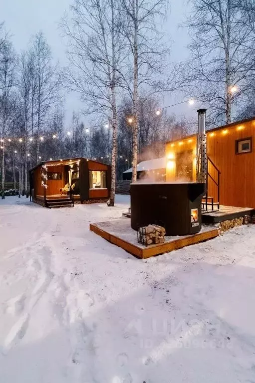 Дом в Тюменская область, Тюмень Зеленый Бор ДНТСН, ул. Лесная, 8 (30 ... - Фото 2