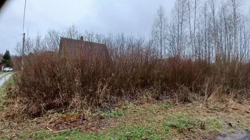 Участок в Ленинградская область, Тихвинский район, Цвылевское с/пос, ... - Фото 2