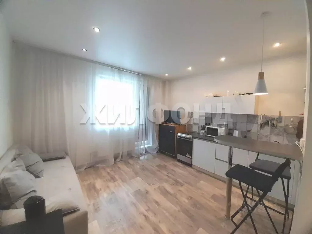 Студия Новосибирская область, Новосибирск ул. Кирова, 225 (24.0 м) - Фото 0