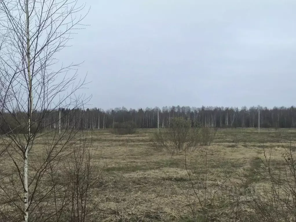 Участок в Московская область, Раменский муниципальный округ, д. ... - Фото 1