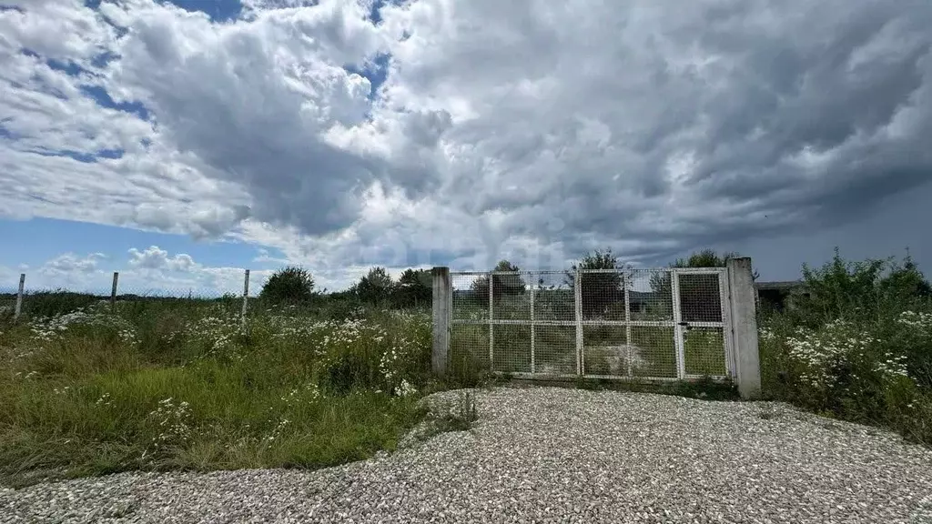 Участок в Адыгея, Майкопский район, пос. Тульский  (280.0 сот.) - Фото 1