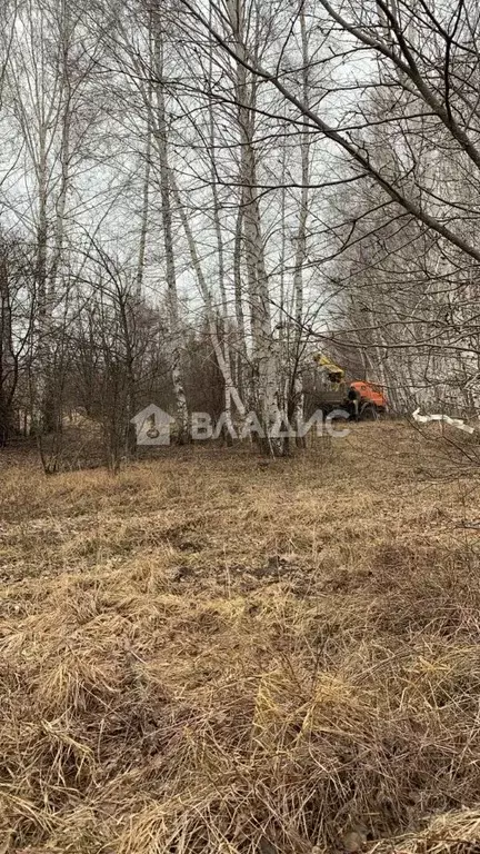 Участок в Воронежская область, Воронеж ул. Совхозная, 41 (6.0 сот.) - Фото 0