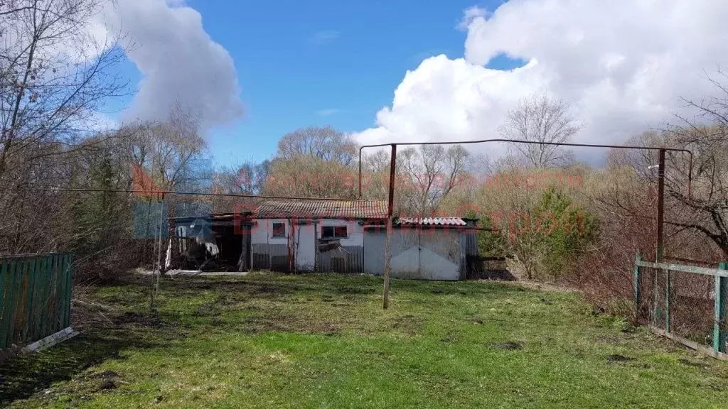 Дом в Нижегородская область, Лукояновский муниципальный округ, с. ... - Фото 1