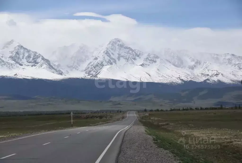Участок в Алтай, с. Кош-Агач  (14.31 сот.) - Фото 1