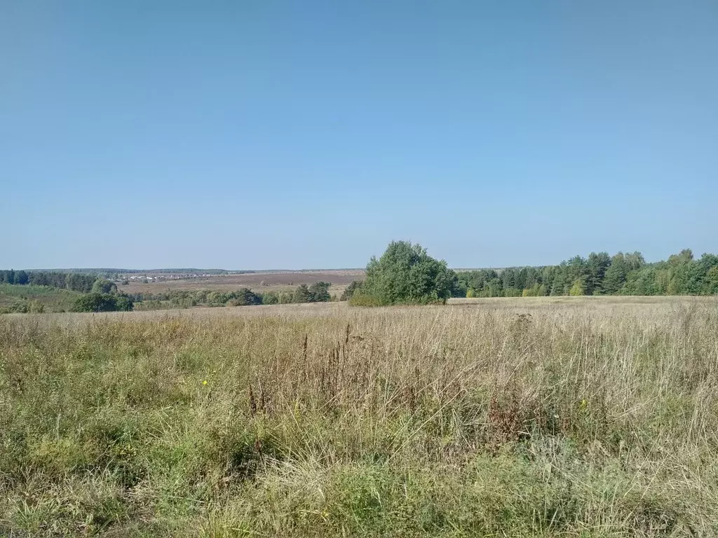 Участок в Владимирская область, Владимир ул. Немцово Поле (11.21 сот.) - Фото 0