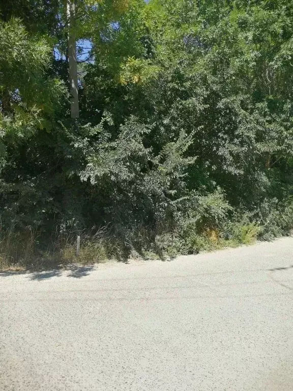 Участок в Краснодарский край, Новороссийск городской округ, с. Мысхако ... - Фото 2