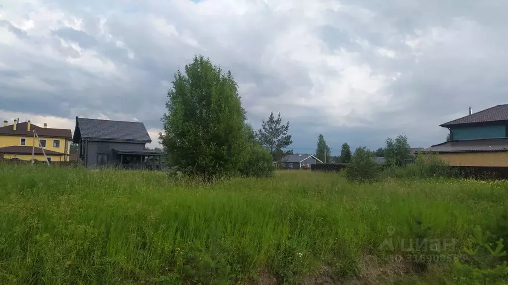 Участок в Ленинградская область, Всеволожский район, Колтушское ... - Фото 1
