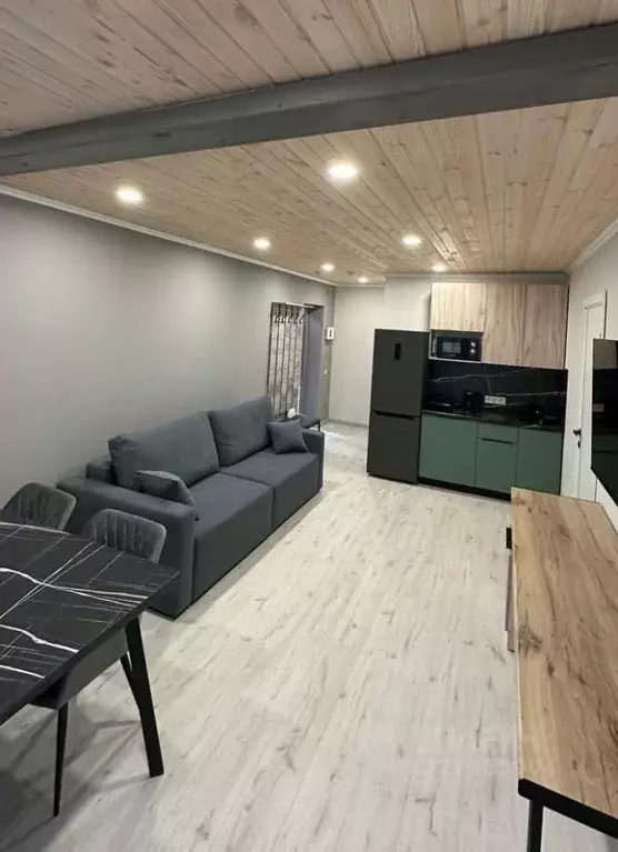 Дом в Алтайский край, Алтайский район, пос. Катунь  (40 м) - Фото 2